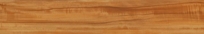 Contour Plank CP 3214-C Camphor Wood