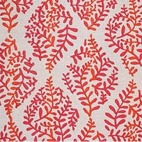 Ivy Paisley