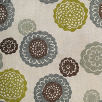 Zinnia