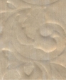 Gc-d-1-lily_medium_cropped