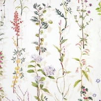 L'Herbier de Colette