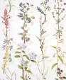 L_27herbier_20de_20colette1_medium_cropped