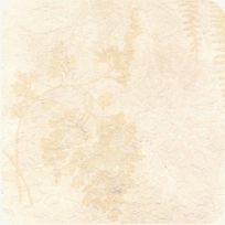 OMT-F-6 Butter