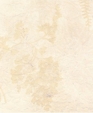 Omt-f-6_20butter_medium_cropped