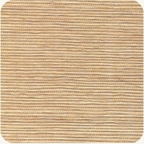 PS-361-40 Honey
