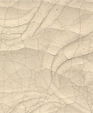 Par-1_20linen_medium_cropped