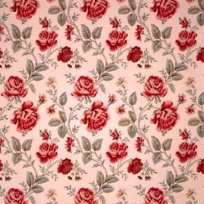 Trailing Rose