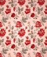 Trailing_20rose_medium_cropped
