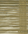No13_sedge_medium_cropped