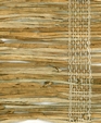 No_1502_timura_medium_cropped