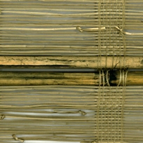 No. 1606 Amur