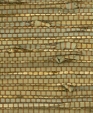 No_1702_chaparral_medium_cropped