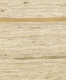 No_1710_maji_medium_cropped