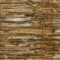 No. 230 Bamboo Shoot Skin