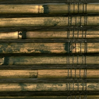 No. 241 Tortoise Shell Reed