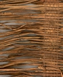 No_250_kumara_medium_cropped