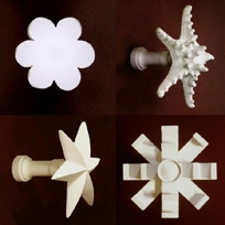Daisy, Starfish, Star & Evaristo