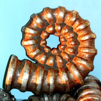 Large Shell