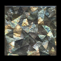 blacklip shell tile