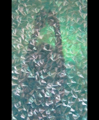 translucent shell shower doors
