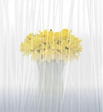 Asian Grass