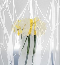 Branches