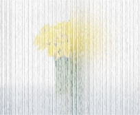 Cascade