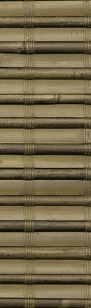 Futana