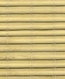 Java_md_medium_cropped