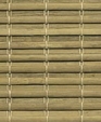 Java_oak_md_medium_cropped