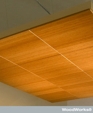 1_jpg1_medium_cropped
