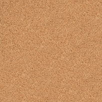Bulletin Board Cork