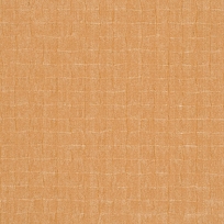 Navajo