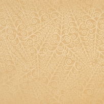Plume
