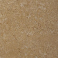 BROWN DP07