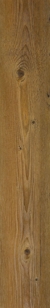 BROWN PINE WR09