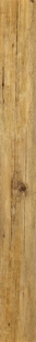 GOLDEN BARNWOOD W212