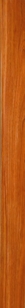 GREEN TEAK W983