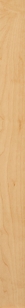 MAPLE W298