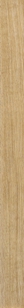 MID OAK W981