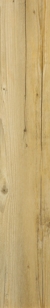 PALE PINE WR02