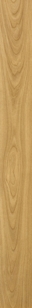 YELLOW OAK W196