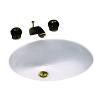21" x 17" Tiara Undercounter Lavatory (Model: 1981)