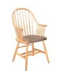 C_carriage_wc_det_01_lg_medium_cropped