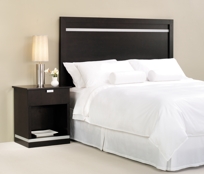 Hampton Inn Contempo