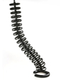 3565_pp_medium_cropped