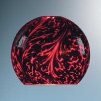 ZON GLASS