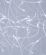 Phpgr8mym_medium_cropped