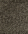 Phpfiaqni_medium_cropped