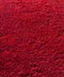 Phpl6t7u5_medium_cropped